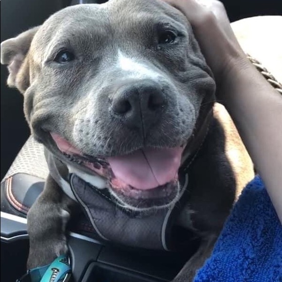 Meet your Posher, Lynzi - Picture 13 of 14